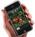Apple iphone  - Беларусь