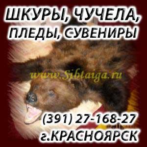 Продам: шкуру медведя, шкуру волка, шкуру рыси Красноярск - Россия