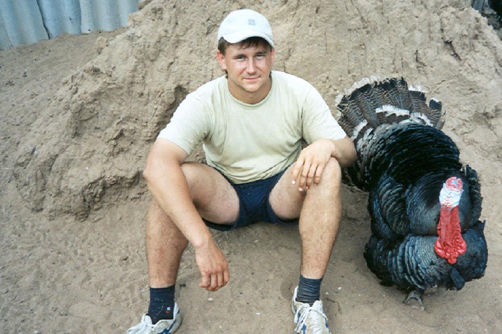 Индюшата (бронзовые широкогрудые и черные Тихорецкие), Цыплята - Россия