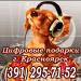 Флешки, картриджи, наушники, чернила в  - Россия