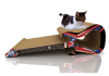 5444103_3.png