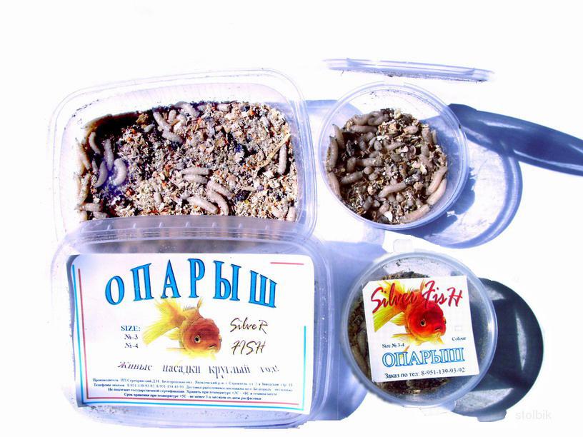 Опарыш оптом - Россия