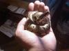 5484702_2.jpg
