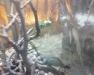 5484702_3.jpg