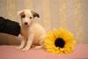 5497135_2.jpg
