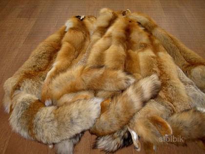 Продам шкуры лисы - Россия