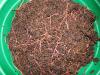 6015595_3.jpg