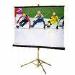 5065297_2.jpg