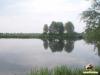 5073208_3.jpg