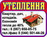 5109149_2.jpg