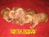 5114725_3.jpg