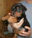 5130950_3.jpg