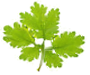 5173383_2.png
