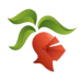 5176377_3.png