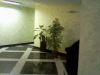 5290518_3.jpg