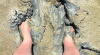 5304402_4.gif