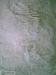 5377328_5.jpg