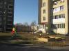 5406619_5.JPG