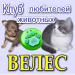 Клуб любителей "ВЕЛЕС" - Беларусь Клуб любителей "ВЕЛЕС" - Беларусь