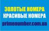 Золотые номера , красивые парные Vipномера . Украина - Украина Золотые номера , красивые парные Vipномера - Украина