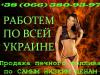 6011289_3.jpg