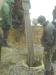 6053250_7.JPG