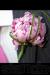 6094700_5.jpg