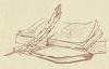 6200577_3.jpeg