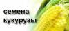 6236903_2.jpeg