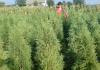 6424469_2.jpg