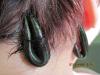 6756259_5.jpg