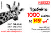 6980935_5.jpg