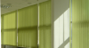 7046005_2.png