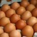 Продам яйцо инкубационное, а также суточный молодняк. - Украина Продам яйцо инкубационное, а также суточный - Украина