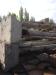 7176350_1.jpeg