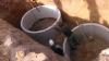7371462_3.jpg