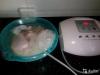 Купить : Прибор для очистки продуктов,воды и воздуха.Озонатор - Россия Купить : Прибор для очистки продуктов,воды и - Россия