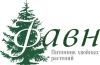 Питомник хвойных растений "Фавн" - Россия Питомник хвойных растений "Фавн" - Россия