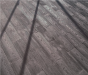 7481685_5.png