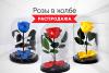 Розы в колбе - Распродажа! - Россия Розы в колбе - Распродажа! - Россия