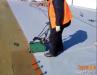 7830160_4.jpg