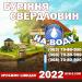 7884044_3.jpg